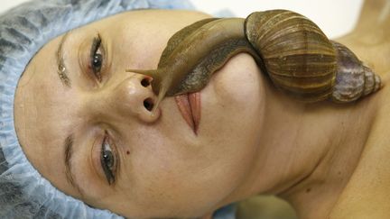 Une femme se fait masser le visage par un escargot g&eacute;ant dans un salon de&nbsp;Krasnoyarsk (Russie), le 19 novembre 2013. (ILYA NAYMUSHIN / REUTERS)