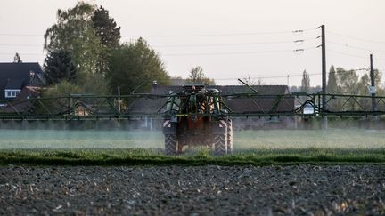 L'Etat a fixé des distances minimales pour l'utilisation de pesticides près des habitations : cinq mètres pour les cultures dites basses comme les légumes et céréales, 10 mètres pour les cultures hautes, fruitiers ou vignes, 20 mètres pour les produits "les plus dangereux". (MAXPPP)