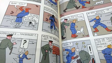 Photo d'illustration de la bande dessinée Tintin (ALLILI MOURAD/SIPA / SIPA)