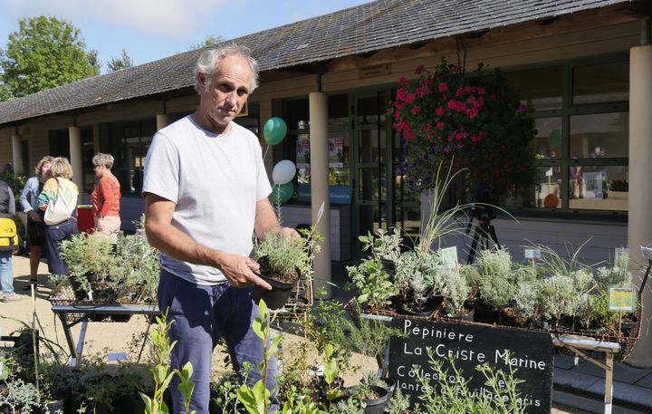 Bruno Derozier, pépiniériste sur l'île de Ré.&nbsp; (ISABELLE MORAND / RADIO FRANCE / FRANCE INFO)