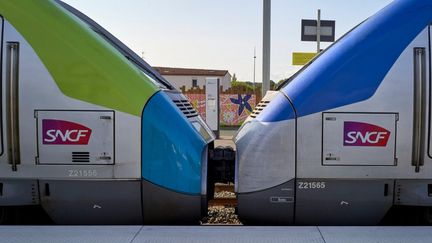 Des trains de la SNCF, à Montaigu (Vendée), le 20 août 2024. (MATHIEU THOMASSET / HANS LUCAS / AFP)