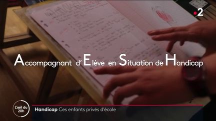 Enquête : vers une "privatisation" de l'accompagnement d'élèves porteurs de handicap en milieu scolaire ?