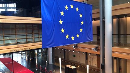 Drapeau de l'UE au sein du Parlement européen de Strasbourg. Photo d'illustration (JULES HAUSS / FRANCE BLEU ALSACE / RADIO FRANCE)