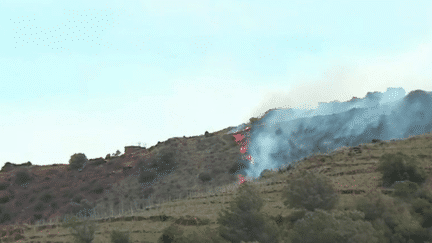 Le feu progresse-t-il toujours dans les Pyrénées-Orientales, dans la soirée du dimanche 16 avril ? Le point avec la journaliste Elsa Assalit, présente sur place. (FRANCE 2)