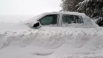 Une tempête de neige s'est abattue dans le massif du Pilat, sur la commune de Planfoy (Loire), le 3 février 2019. (PHILIPPE VACHER / MAXPPP)