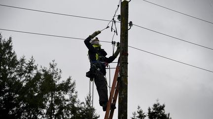 Un agent d'Enedis en pleine intervention après le passage de la tempête Ciaran, le 4 novembre 2023 en Ille-et-Vilaine (MARC OLLIVIER / MAXPPP)