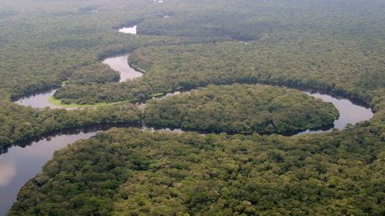 Le parc Salonga en République démocratique de Congo. (UNESCO)