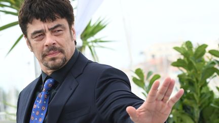 Le président du jury "Un certain regard", Benicio del Toro, se prête au jeu des photographes... enfin pas trop longtemps quand même.
 (Ekaterina Chesnokova / Sputnik)