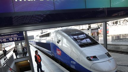 Un train en gare de Marseille Saint-Charles, le 23 mars 2012. (ARNE DEDERT / MAXPPP)