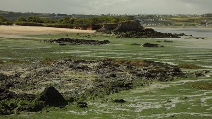 Chaque semaine, le 19/20 de France 3 donne la parole aux électeurs des régionales 2021. Mardi 18 mai, direction la Bretagne, une région attractive économiquement, mais où le prix de l'immobilier est à la hausse. L'agriculture et l'environnement sont également au cœur de cette campagne.&nbsp; (CAPTURE ECRAN FRANCE 3)