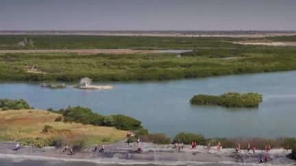 6media-SENEGAL_MANGROVE-JIM_4131