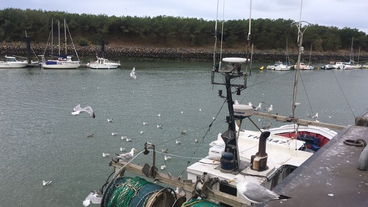 Sur le port de Saint-Gilles-Croix-e-Vie, la reprise post covid se fait inéquitablement pour les pêcheurs (FARIDA NOUAR / FRANCEINFO / RADIO FRANCE)