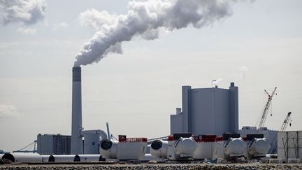 Une usine à charbon aux Pays-Bas, le 14 juillet 2022. (SEM VAN DER WAL / ANP MAG / AFP)