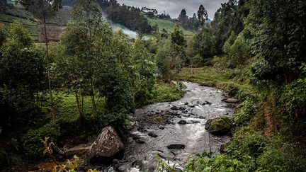 "Ici c'est le paradis. A deux heures de Nairobi, vous trouvez des rivières aux eaux cristallines, un village paisible, de la verdure... Les opportunités sont illimitées", déclare le propriétaire d’un complexe hôtelier surplombant la rivière Mathioya, qui descend du massif des Aberdare. "Imaginez passer la matinée (...) à pêcher et l'après-midi à faire des photos d'animaux sauvages. Où ailleurs pouvez-vous trouver ça ?", explique-t-il à l’AFP.&nbsp; &nbsp; &nbsp; &nbsp; (LUIS TATO / AFP)