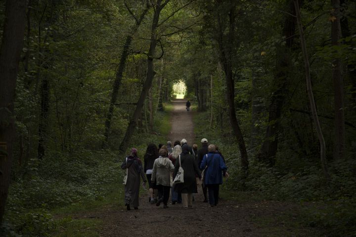 Promenades dans la forêt de Bondy avec les Ateliers Médicis.&nbsp; (Grégoire Perrier)