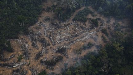 &nbsp; (Vue aérienne d'une zone de déforestation en Amazonie, au Brésil © REUTERS/Nacho Doce)