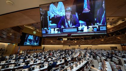 Le Conseil des droits de l'homme de l'ONU à Genève (Suisse), le 3 mars 2022. (FABRICE COFFRINI / AFP)