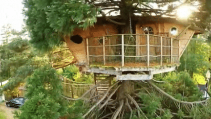 Boom des cabanes en bois