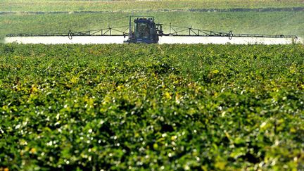 Un agriculteur répand des produits phytosanitaires sur un champ de betteraves, à Godewaersvelde (Nord), en septembre 2013. (PHILIPPE HUGUEN / AFP)