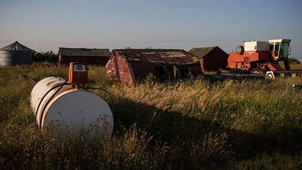 Les installations pétrolières, presque aussi nombreux que les fermes, ont remplacé les tracteurs.
 
Au Dakota du Nord, de nombreux paysans se sont enrichis en vendant leurs sous-sols aux compagnies pétrolières mais gardent la jouissance du sol de surface. (Andrew Burton / Getty Images / AFP)