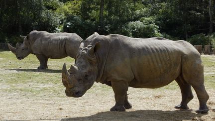 Environnement : le zoo de Thoiry crée son propre chauffage grâce aux déjections animales