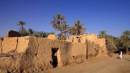 Située dans une dépression rendue fertile par le jaillissement de quelques centaines de sources, Siwa est en bordure directe du plateau du désert libyque. L'oasis est aujourd'hui visité par une majorité d'Egyptiens, alors que qu'auparavant les touristes étaient essentiellement étrangers. La crise politique est passée par là. (ORTEO LUIS / HEMIS.FR / AFP)