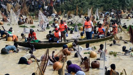 Sur les pirogues, les joueurs de tambours et les médecins se frayent un chemin parmi la frénésie et les cris de près de 10&nbsp;000 hommes et de garçons âgés parfois d’à peine dix ans.&nbsp; (PIUS UTOMI EKPEI / AFP)