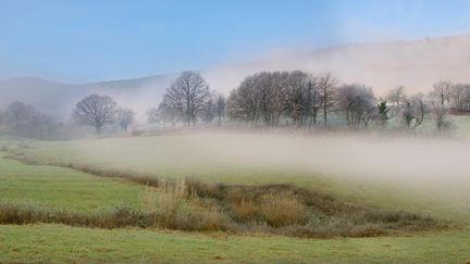 Le brouillard sur une vallée des Vosges, le 3 février 2020. (MICHEL RAUCH / BIOSPHOTO / AFP)