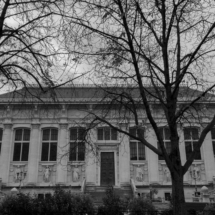 Le Palais de Justice de Paris, où se tient le procès des attentats du 13-Novembre. (DAVID FRITZ-GOEPPINGER POUR FRANCEINFO)