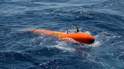 Un ROV (un petit robot sous-marin capable de prendre des images) envoyé pour retrouver l'épave du sous-marin français La Minerve, disparu en 1968 avec 52 hommes à bord. (SEBASTIEN CHENAL / MARINE NATIONALE)