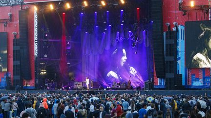 Lana Del Rey se produit sur scène lors du festival Lollapalooza, à Paris, en juillet 2017. (GEOFFROY VAN DER HASSELT / AFP)