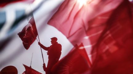 Un homme agite le drapeau turc lors d'une manifestation du parti r&eacute;publicain du peuple&nbsp;&agrave; Istanbul (Turquie), le 29 mars 2014. (BULENT KILIC / AFP)