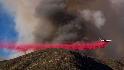  (Un avion largue du retardant pour freiner la progression du feu sur la colline de Lytle Creek, en Californie, alors que le Blue Cut Fire a déjà brûlé plus de 7000 hectares de forêt © AFP / Rinfo Chiu)