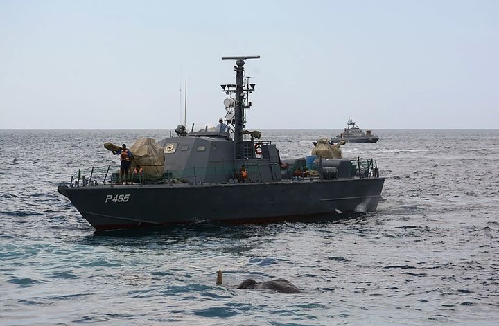 Une photo diffusée le 12 juillet 2017 de l'éléphant repêché par la marine du Sri Lanka. (SRI LANKAN NAVY / AFP)