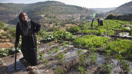 Le village palestinien de Battir, en Cisjordanie, a &eacute;t&eacute; inscrit sur la liste du patrimoine mondial de l'Unesco et celle du patrimoine mondial en p&eacute;ril, le 20 juin 2014. (MENAHEM KAHANA / AFP)