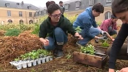 Culture : le Grand Palais met en lumière les jardins&nbsp; (FRANCE 3)