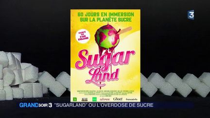 L'affiche du film Sugarland (France 3)