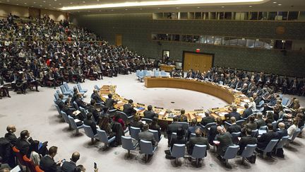 Conseil de sécurité à l'ONU, à New York, le 10 janvier 2017.&nbsp; (EVAN SCHNEIDER / UNITED NATIONS / AFP)