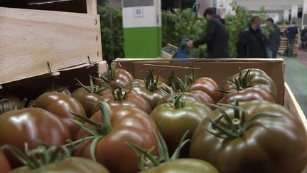 C'est l'effervescence dans les marchés de gros. Avant la réouverture des terrasses mercredi 19 mai, les restaurateurs font leurs dernières courses de produits frais.&nbsp; (CAPTURE ECRAN FRANCE 3)