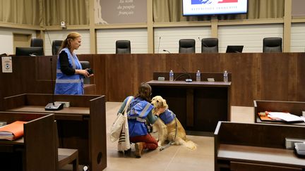 Un chien d'assistance judiciaire au tribunal à Marseille (Bouches-du-Rhône), le 26 septembre 2022. (MAXPPP)