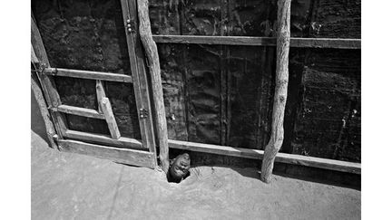 Camp de réfugiés de Dadaad, Kenya, juin 2011. Abdi Rahman Shukir Ali, 26 ans, est enfermé dans une cahute de tôle depuis deux ans. Il vit avec sa famille dans le camp de réfugiés somaliens de Dadaad, le plus grand du monde
 (Robin Hammond / Panos)