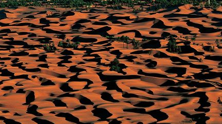 Elle est surnommée «la perle du désert». (Yann Arthus-Bertrand)