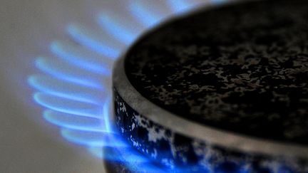 Les tarifs r&eacute;glement&eacute;s du gaz s'appliquent &agrave; quelque 10 millions de m&eacute;nages fran&ccedil;ais. (PHILIPPE HUGUEN / AFP)