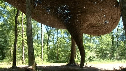 Le cyclone Suzuki dans les bois de Larrouy
 (F3/Culturebox)