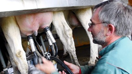 &nbsp; (Traite des vaches dans une ferme en Lorraine, le 16 octobre 2007 - photo prétexte  © Maxppp)