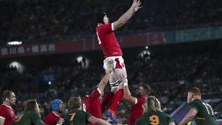 Adam Beard, deuxième ligne du pays de Galles, le 27 octobre 2019.  (BEHROUZ MEHRI / AFP)