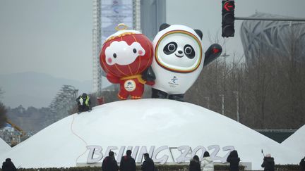 Les&nbsp;mascottes des Jeux olympiques et paralympiques d'hiver de Pékin, Bing Dwen Dwen et Shuey Rhon Rhon, exposées à Pékin, le 10 janvier 2022. (KOJI ITO / AP / SIPA)