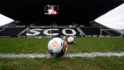 Le Angers SCO évoluera bien en Ligue 1 la saison prochaine, a annoncé le club, le 12 juillet 2021. (JEAN-FRANCOIS MONIER / AFP)