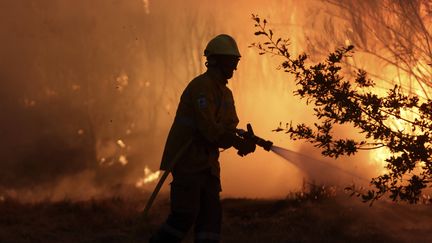 Un pompier portugais tentant d'éteindre un précédent incendie à Gouveia, dans l'est du Portugal, le 18 août 2022. (JOAO HENRIQUES / AP / SIPA)