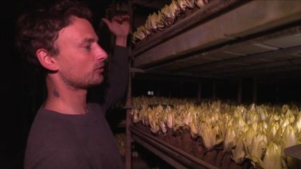 Paris : l'agriculture en sous-sol